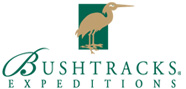 Bushtracks Expeditions
