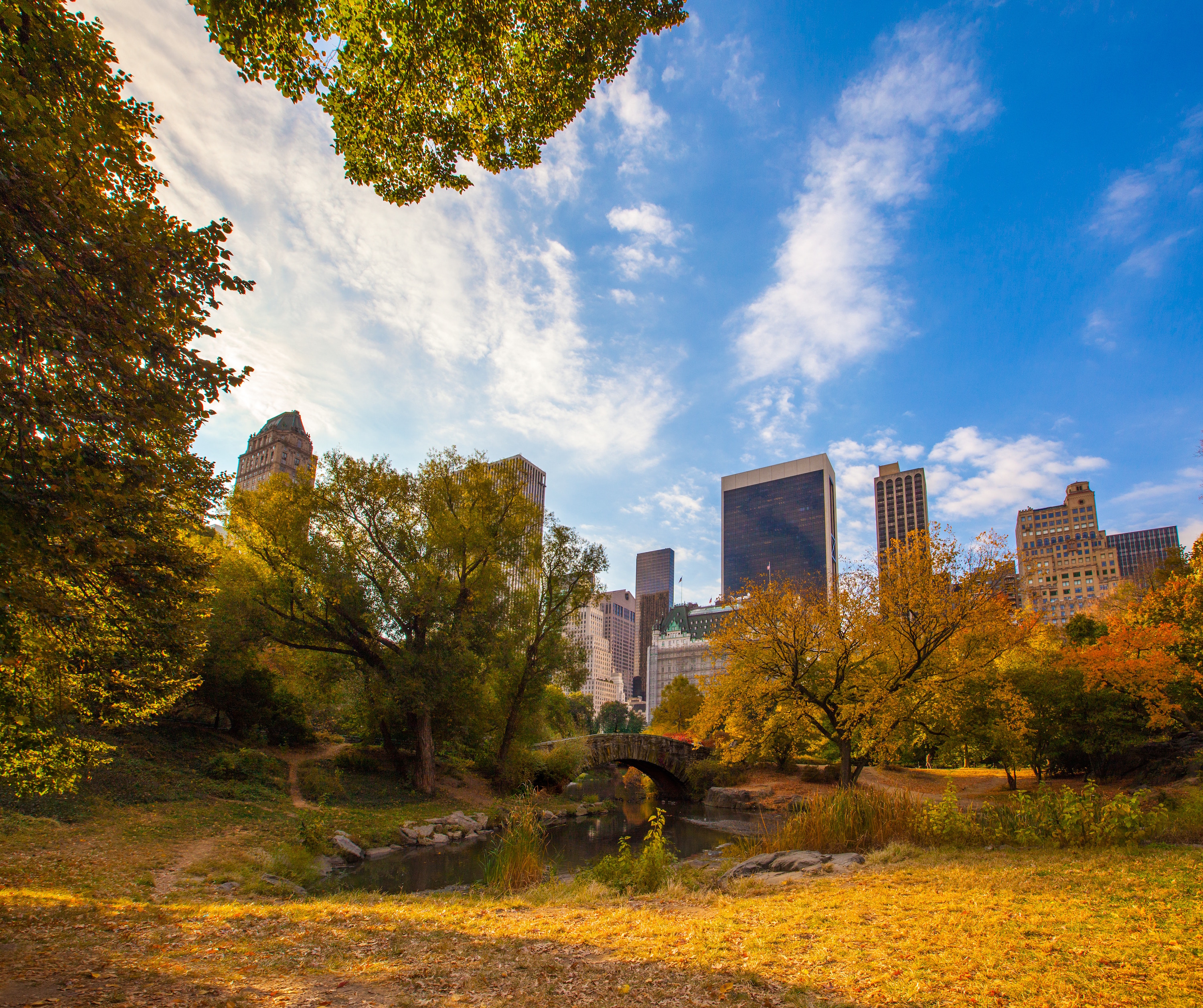 central park new york