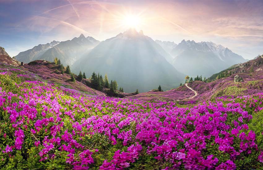 Spring destinations