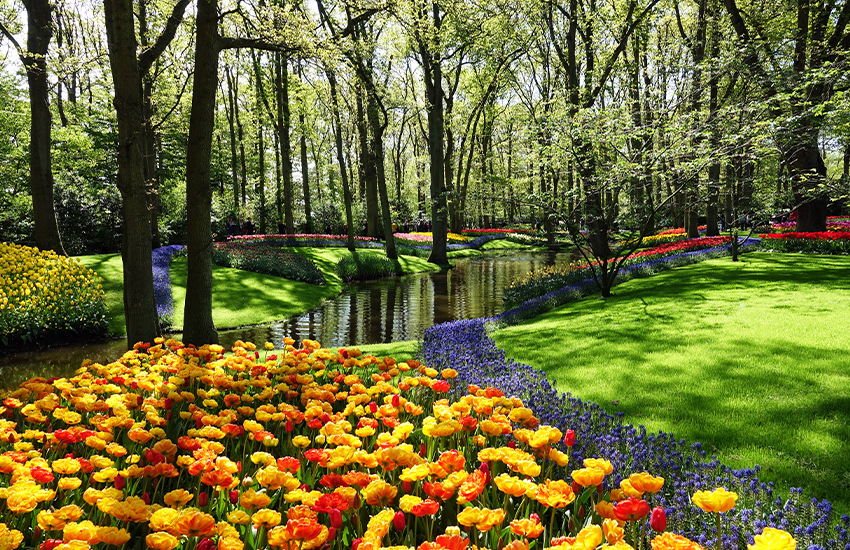 Keukenhof in Lisse