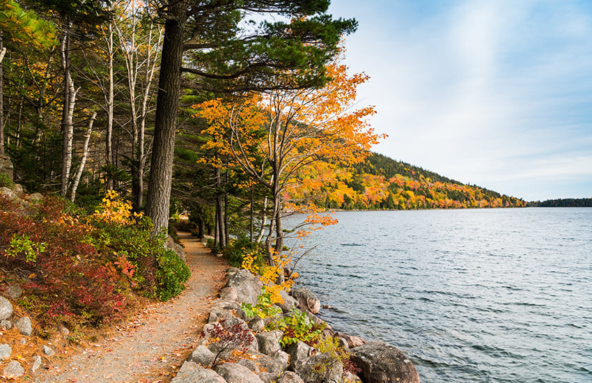 Best things to do in Bar Harbor