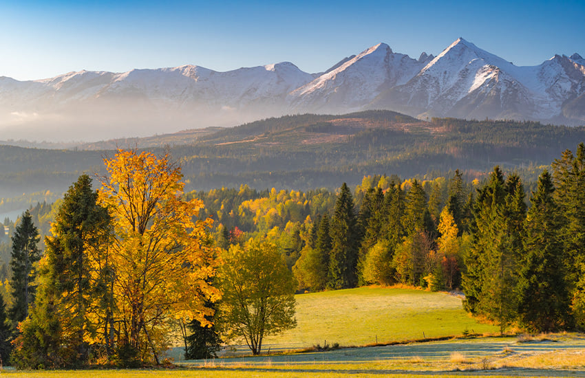 fall foliage around the world