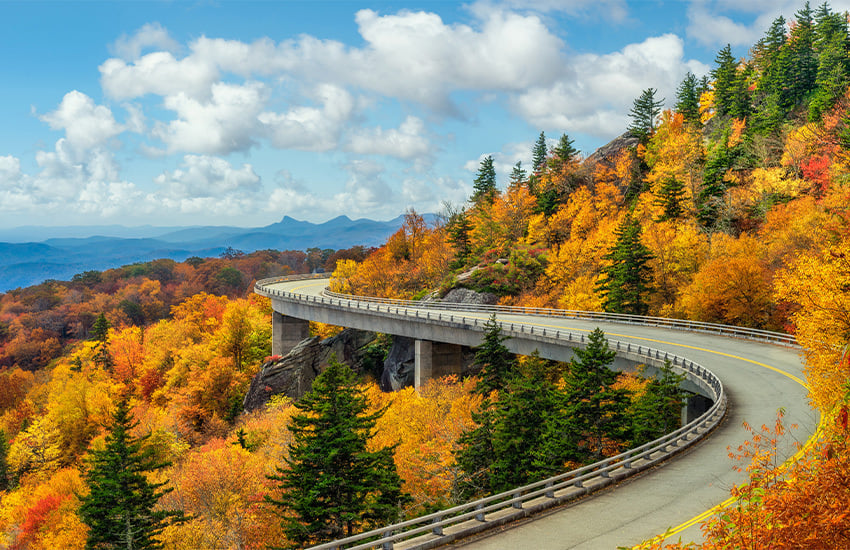 fall foliage around the world