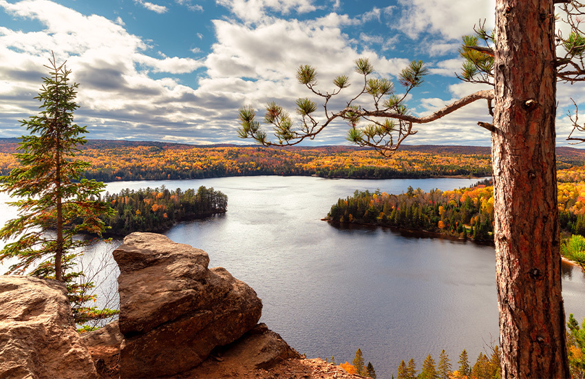 fall foliage around the world