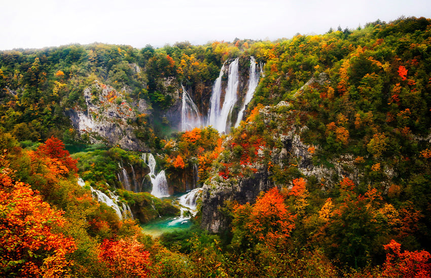 fall foliage around the world