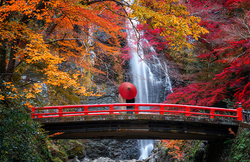 fall foliage around the world