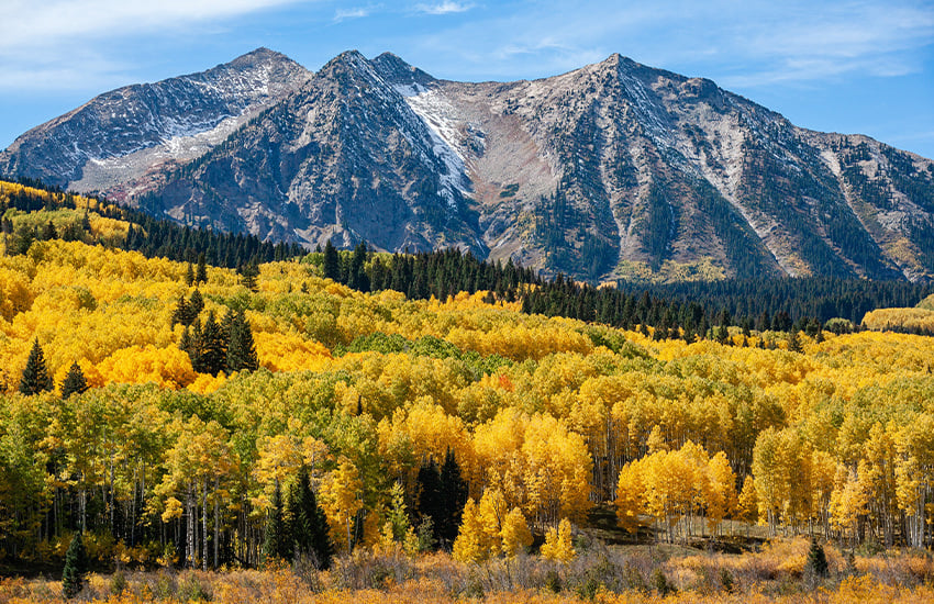 fall foliage around the world